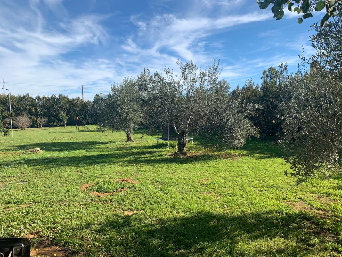 Ole Tu Andalucia Villa Sanlúcar la Mayor Eksteriør billede